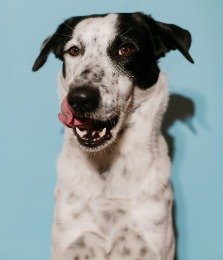 virginia-marinova-d6a54aQknSY-unsplash-crop-new-223x260